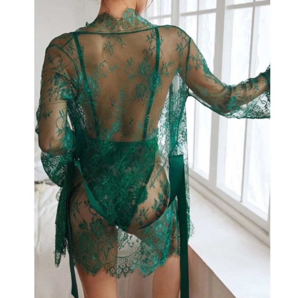 Embroidered mesh lace up bodysuit with robe - Picture 2 of 11